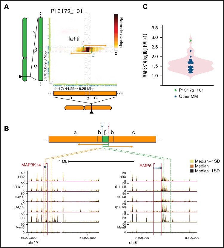 【佳学基因检测】多发性骨髓瘤的深度基因检测及大数据分析